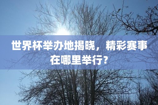 世界杯举办地揭晓，精彩眉山市正发家政服务有限公司赛事在哪里举行？