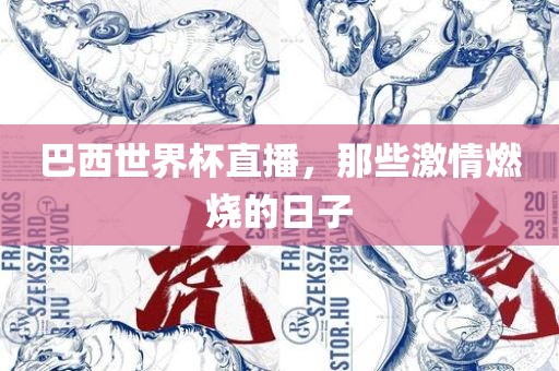 巴西世界杯直播，那些激情燃烧的日子