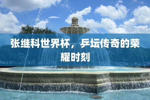 张继科世界杯，乒坛传奇的荣耀时刻眉山市正发家政服务有限公司