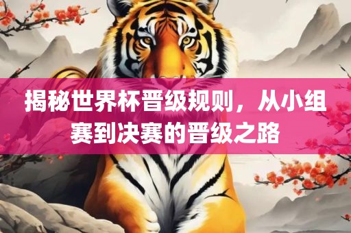 揭秘世界杯晋级规则，从小组赛到决赛的晋级之路眉山市正发家政服务有限公司