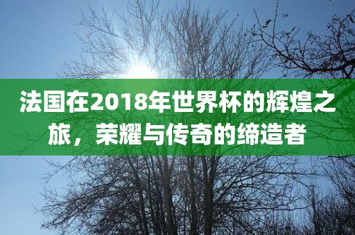 法国眉山市正发家政服务有限公司在2018年世界杯的辉煌之旅，荣耀与传奇的缔造者