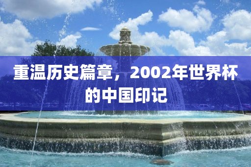 重温历史篇章，2002年世界杯的中国印记眉山市正发家政服务有限公司