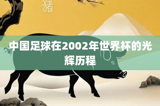 眉山市正发家政服务有限公司中国足球在2002年世界杯的光辉历程