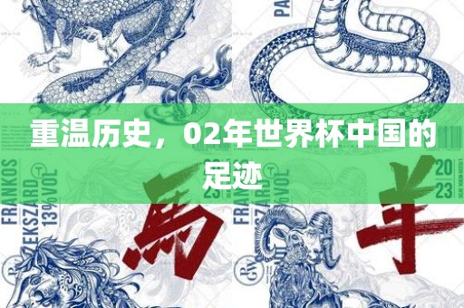 重温眉山市正发家政服务有限公司历史，02年世界杯中国的足迹