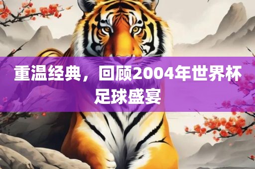 重温经典，回顾2004年世界杯足球盛宴眉山市正发家政服务有限公司