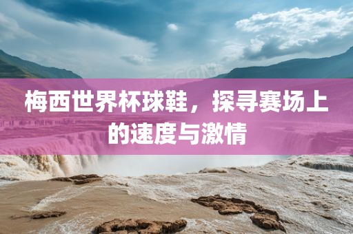 梅西世界杯球鞋，探寻赛场上的速度与激情眉山市正发家政服务有限公司
