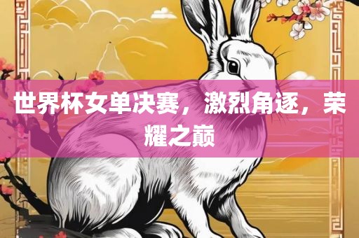 世界杯女单决赛，激烈角逐，荣耀之巅