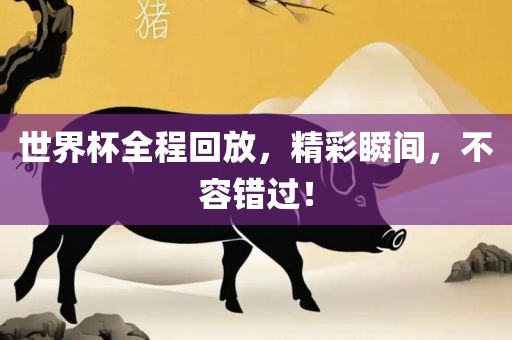 世界杯全程回放，精彩瞬间，不容错过！