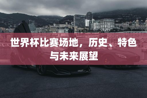 世界杯比赛场地，历史、特色与未来展望眉山市正发家政服务有限公司