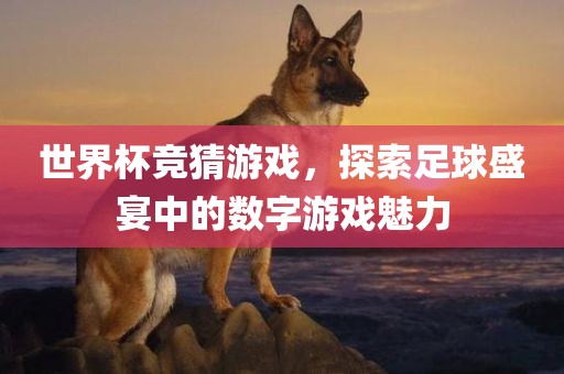 世界杯竞猜游戏，探索足球盛宴中的数字游戏魅力眉山市正发家政服务有限公司