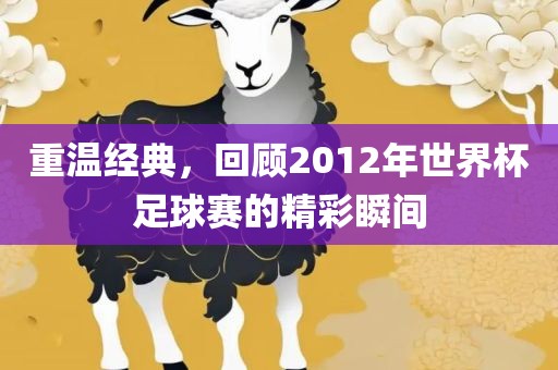 重温经典，回顾2012年世界杯足球赛的精彩瞬间眉山市正发家政服务有限公司