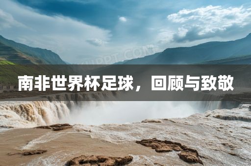 南非世界杯足球，回顾与致敬