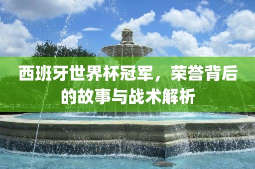 西班牙世界杯冠军，荣誉背后的故事与战术解析眉山市正发家政服务有限公司