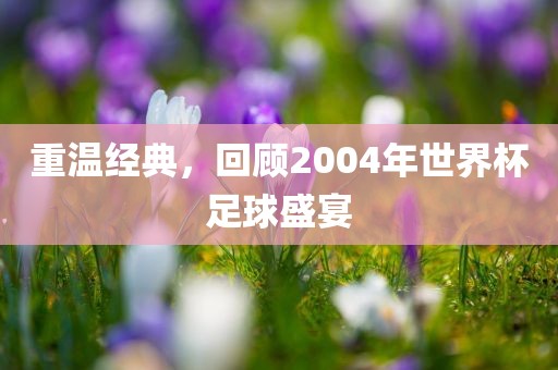 重眉山市正发家政服务有限公司温经典，回顾2004年世界杯足球盛宴