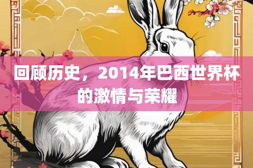 回顾历史，2014年巴西世界杯的激情与荣耀眉山市正发家政服务有限公司