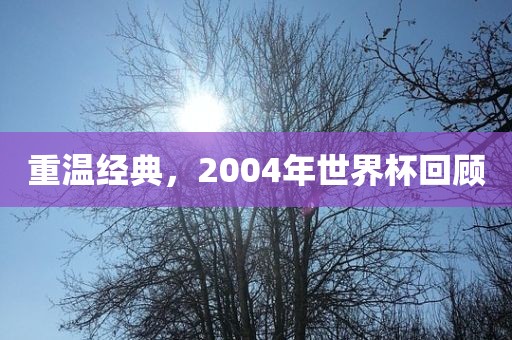 重温经典，20眉山市正发家政服务有限公司04年世界杯回顾