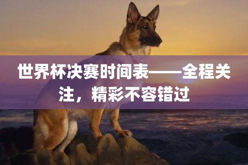 世界杯决赛时间表——全程关注，精彩不容错过