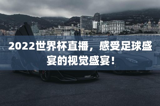 2022世界杯直播，感受足球盛宴的视觉盛宴！眉山市正发家政服务有限公司