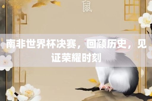 南非世界杯决赛，回顾历史，见证荣耀时刻眉山市正发家政服务有限公司