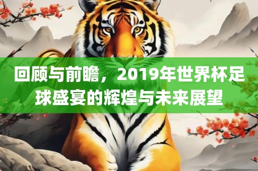 回顾与前瞻，2019年世界杯足球盛宴的辉煌与未来展望眉山市正发家政服务有限公司