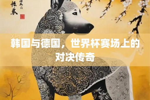 韩国与德国，世界杯赛场上的对决传奇