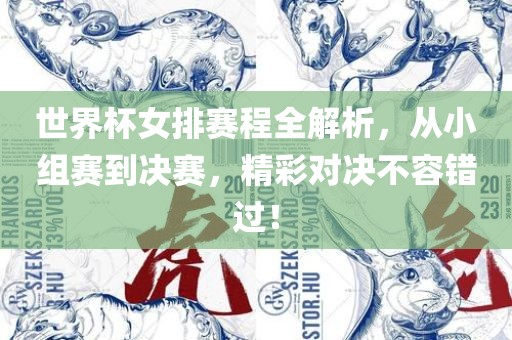 世界杯女排赛程全解析，从小组赛到决赛，精彩对决不容错过！眉山市正发家政服务有限公司