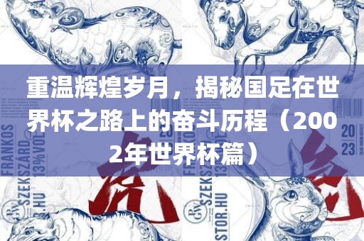 重温辉煌岁月，揭秘国足在世界杯之路上的奋斗历程（2002年世界杯篇）眉山市正发家政服务有限公司