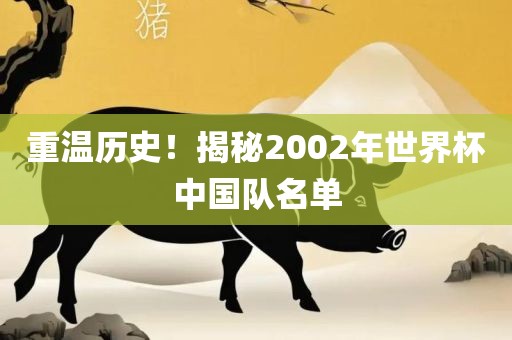 重温历史！揭秘2002年世界杯中国队名单眉山市正发家政服务有限公司