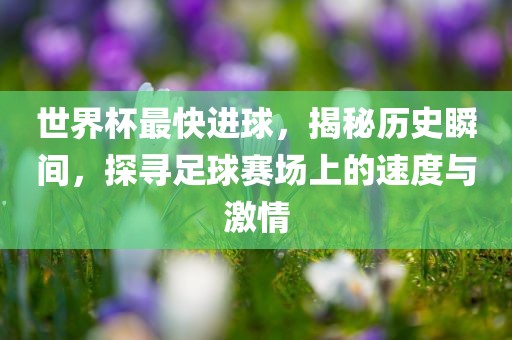 世界杯最快进球，揭秘历史瞬间，探寻足球赛场上的速度与激情