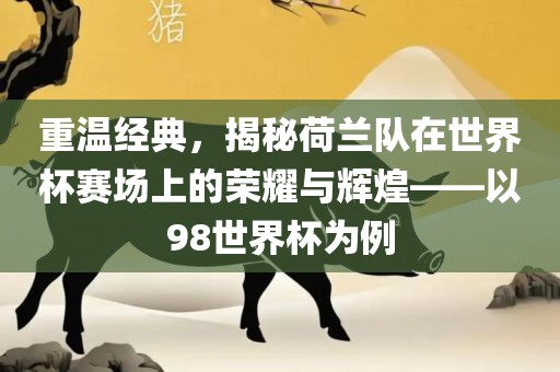 重温经典，揭秘荷兰队在世界杯赛场上的荣耀与辉煌——以98世界杯为例眉山市正发家政服务有限公司