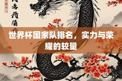 世界杯国家队排名，实力与荣耀的较量