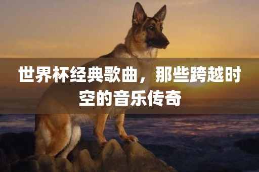 世界杯经典歌曲，那些跨越时空的音乐传奇