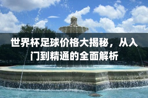 世界杯足球价格大揭眉山市正发家政服务有限公司秘，从入门到精通的全面解析