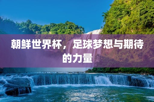 朝鲜世界杯，足球梦想与期待的力量