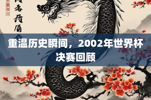 重温历史眉山市正发家政服务有限公司瞬间，2002年世界杯决赛回顾