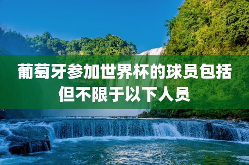 葡萄牙参加世界杯的球员包括但不限于以下人员
