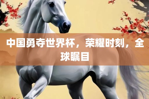 中国勇夺世界杯眉山市正发家政服务有限公司，荣耀时刻，全球瞩目