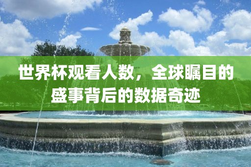 世界杯观看人数，全球瞩目的盛事背后的数据奇迹