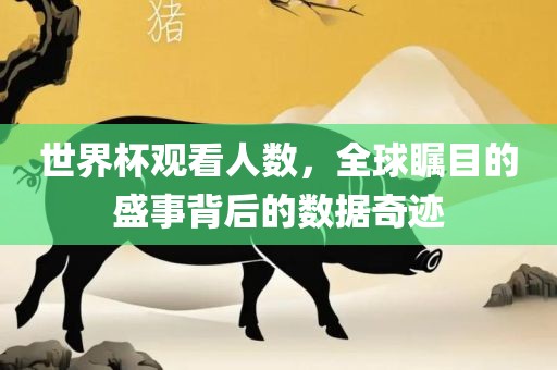 世界杯观看人数，全球瞩目的盛事背后的数据奇迹