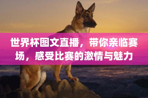 世界杯图文直播，带你亲临赛场，感受比赛的激情与魅力眉山市正发家政服务有限公司