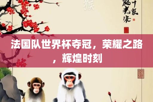 法国队世界杯夺冠，荣耀之路，辉煌时刻