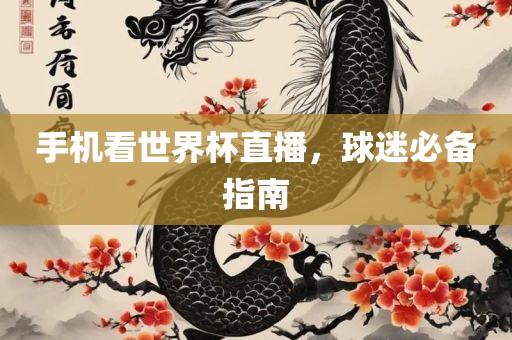 手机看世界杯直播，球迷必备指南眉山市正发家政服务有限公司