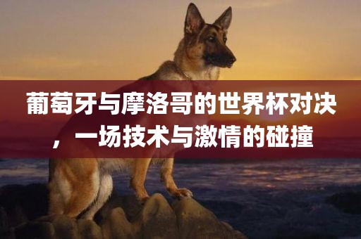 葡萄牙与摩洛哥的世界杯对决，一场技术与激情的碰撞眉山市正发家政服务有限公司