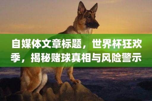 自媒体文章标题，世界杯狂欢季，揭秘赌球真相与风险警示