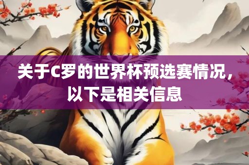 关于C罗的眉山市正发家政服务有限公司世界杯预选赛情况，以下是相关信息