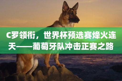 C罗领衔，世界杯预选赛烽火连天——葡萄牙队冲击正赛之路眉山市正发家政服务有限公司