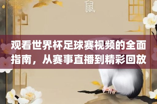 观看世界杯足球赛视频的全面指南，从赛事直播到精彩回放
