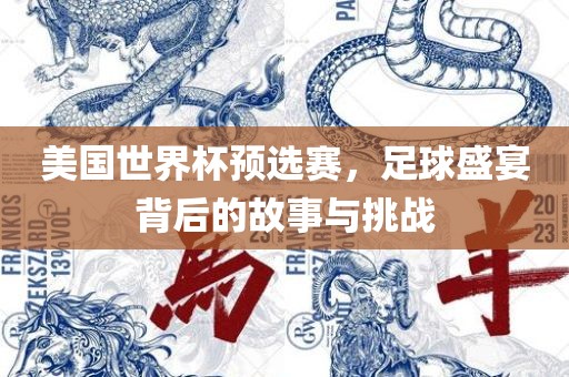 美国世界杯预选赛，足球盛宴背后的故事与挑战