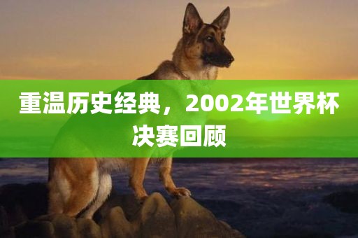 重温历史经典眉山市正发家政服务有限公司，2002年世界杯决赛回顾