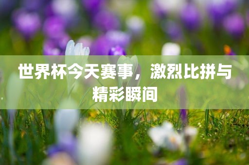 世界杯今天赛事，激烈比拼与精彩瞬间眉山市正发家政服务有限公司